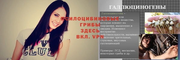 mdpv Гусиноозёрск