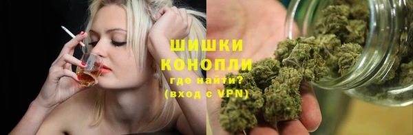 mdpv Гусиноозёрск