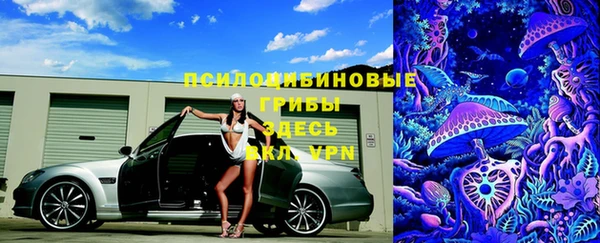 mdpv Гусиноозёрск